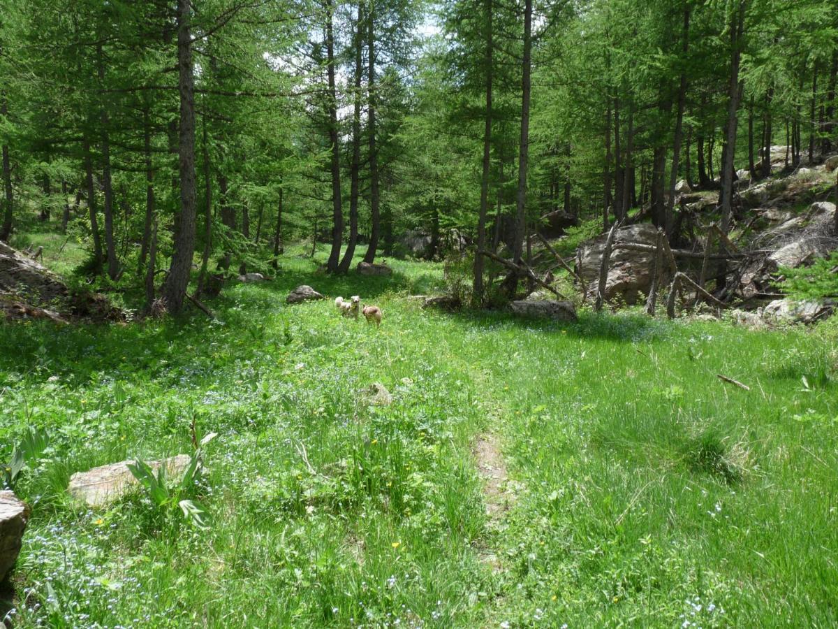 Les Marmottes D Estenc Экстерьер фото